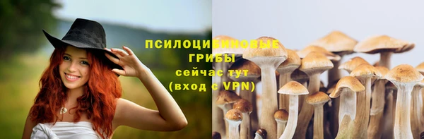 ешки Алзамай
