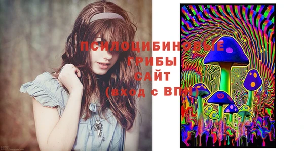 ешки Алзамай