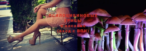 шишки Заволжск