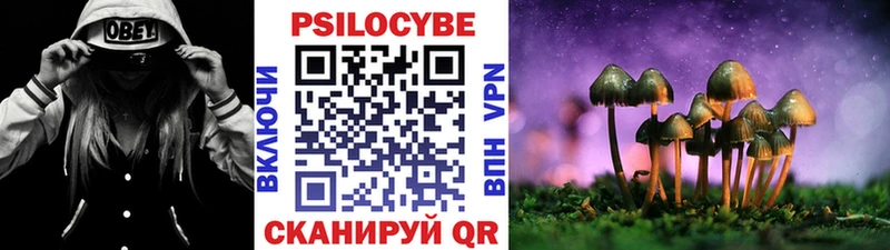 Галлюциногенные грибы Cubensis  darknet формула  Тамбов 